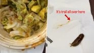 Live Snail Found in Hyderabad Woman&rsquo;s Avocado Quinoa Salad Order From Shoyu Restaurant, Video Goes Viral
