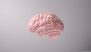 Can We Slow Down Brain Aging and Prevent Dementia?