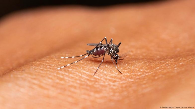 New Antibodies Could Help Win the Fight Against Malaria