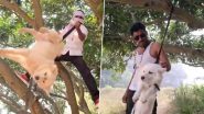 Kicked, Tossed in Air, Hanged From Tree: Man Named 'Aalam Dancer' Records Intsagram Reels While Torturing Dog in Bihar's Bhagalpur, Police Assure Action as Disturbing Videos Surface Online