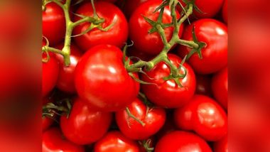 World News | Tomato Production in Israel Rebounding from War