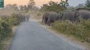 India News | Elephant Population in Assam Increases to 5828 in 2024