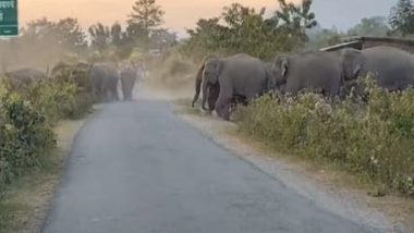 India News | Elephant Population in Assam Increases to 5828 in 2024