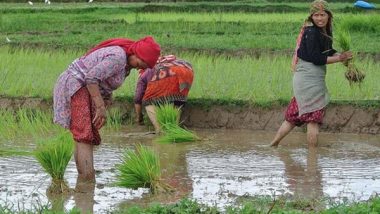 Business News | IIT  Bombay Develops Bacteria to Consume Toxic Pollutants in Soil and Produce Helpful Nutrients