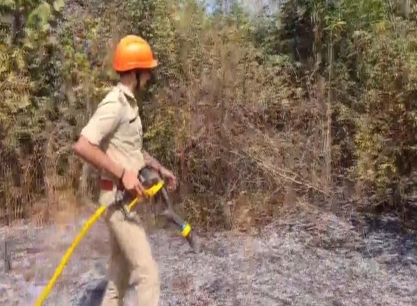 India News | Kerala: Fire Breaks out at Cashew Orchard Near Chinmaya Vidyalaya in Kannur; No Casulaties Reported