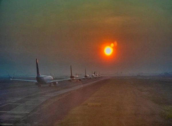 India News | Dense Fog Disrupts Flight Operations at Guwahati Airport, 14 Cancellations and 30 Delays Reported