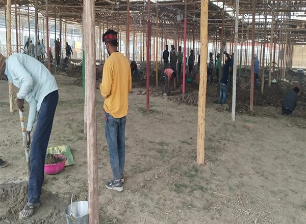 India News | 1100 Priests to Perform Maha Yajna at Kumbh Mela for 'Gau Mata's National Recognition