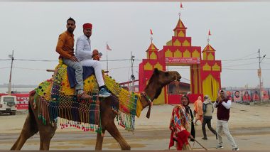 India News | Maha Kumbh 2025: Camel Rides from Rajasthan Become a Popular Attraction at Prayagraj's Sangam