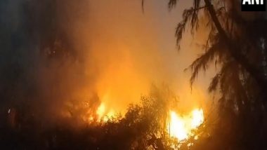 India News | Gujarat: Fire Breaks out in Porbandar Forest