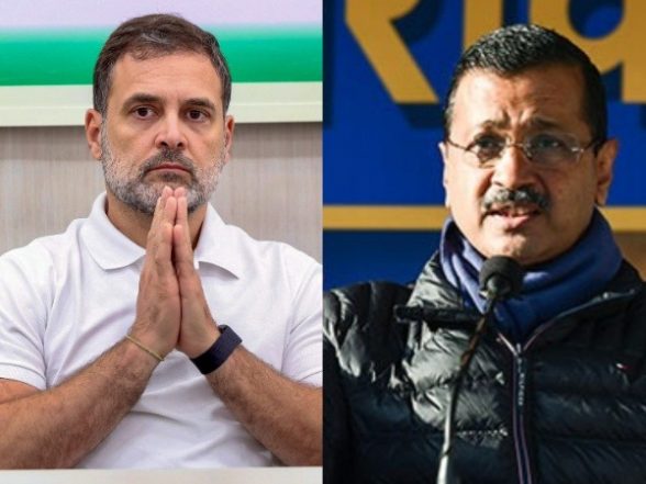 Rahul Gandhi, Arvind Kejriwal Express Grief Over Tirupati Stampede Incident