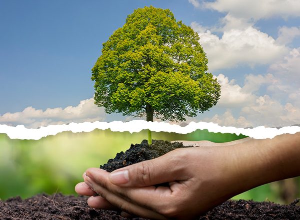 Business News | The GreenPrint Revolution: How Students at SCIT Are Powering a Greener Tomorrow