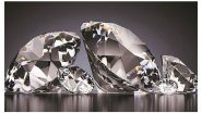 Business News | Rajnish Retail Limited Creates Historic White Diamond in Record Time: A Game-Changer for the Industry