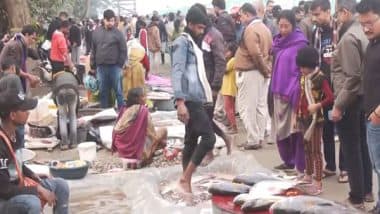 India News | Assam Gears Up to Celebrate Magh Bihu with Festive Spirit Amid Chilly Winter