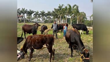 Business News | Prakash Group Empowers Rural Women by Distributing Cows Ranchi