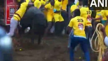 India News | Jallikattu Event in Tamil Nadu's Madurai Begins; 1,100 Bulls, 900 Tamers in Fray