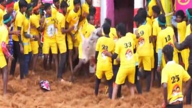 India News | Tamil Nadu: Day 2 of Jallikattu Begins in Madurai