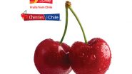 Business News | Celebrate the Season with Chilean Cherries: The Ultimate Winter Superfruit
