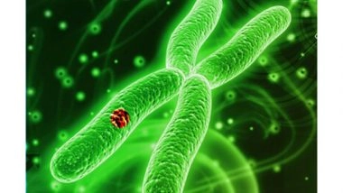 Business News | Datar Cancer Genetics Introduces Revolutionary Tumor-Agnostic + Informed Blood Test for Residual Disease Monitoring