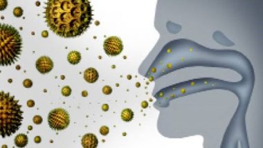 Business News | How to Deal with the Allergy Season?