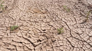 World News | Drought-like Conditions Emerge in Pakistan Due to Scarce Rainfall
