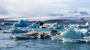 Science News | Weather Change Linked to Heightened Risk of Salmonella Outbreaks: Study