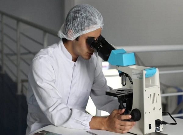 Science News | Microbes Help Detoxify Our Atmosphere, Says Study
