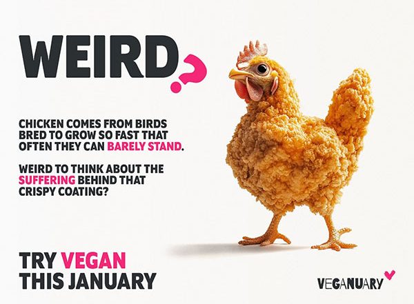 Business News | What's Weird About Our Food System?