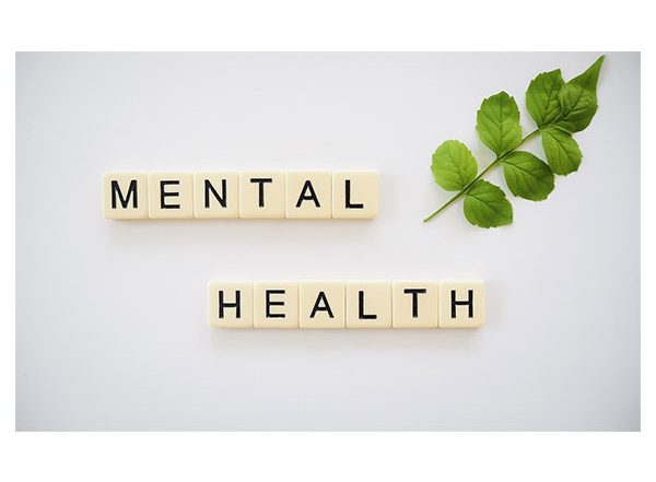 Business News | Eco Survey Asks to Prioritise Mental Health and Gender Inclusive Labour Laws