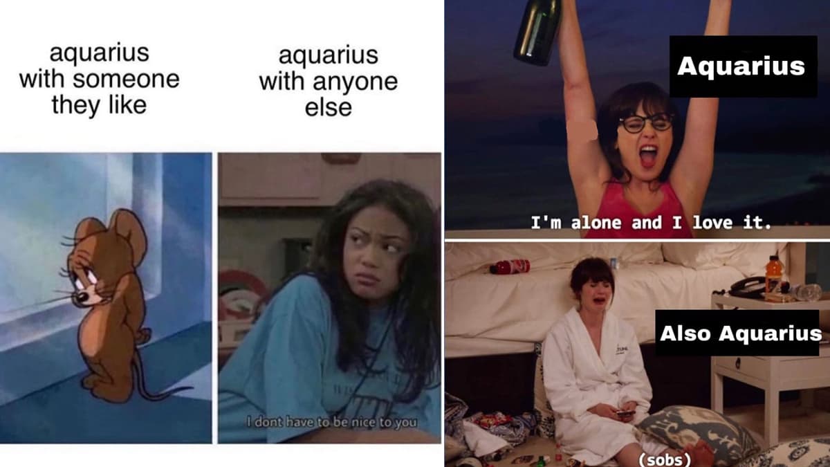 Funny Aquarius Memes, Jokes and Images For Aquarius Season 2025