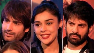 ‘Bigg Boss 18’ Finale Week: Media Grills Vivian Dsena Over Lackluster Gameplay; Eisha Singh Gets Tagged ‘Chugli Aunty’ (Watch Video)