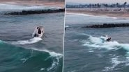 California Boat Capsize: Boat Carrying Illegal Immigrants Gets Flipped Over by Wave at Ocean Beach in San Diego, Disturbing Drone Footage Surfaces