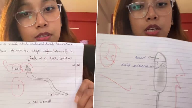 Diagram of Human Sperm Video: Science Teacher Shames Class 8 Students For Drawing 'Different Shapes For Sperms' In This Instagram Reel (Watch)