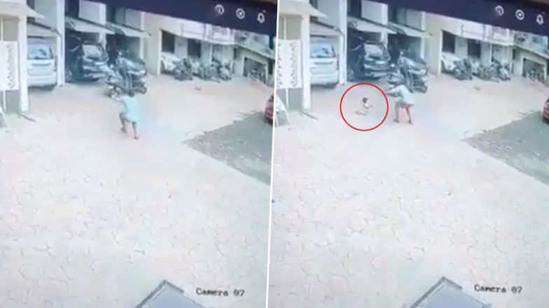 Thane: Man Rushes To Save Child After 2-Year-Old Boy Falls From 3rd Floor of 13-Storey Building in Dombivli, Terrifying Video Surfaces