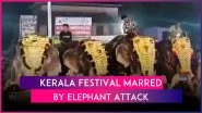Elephant Ragdolls Man After Running Amok During BP Angadi Nercha in Kerala&rsquo;s Tirur; Horrifying Video Surfaces