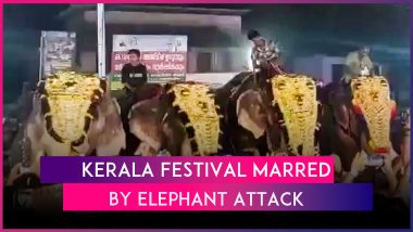 Elephant Ragdolls Man After Running Amok During BP Angadi Nercha in Kerala’s Tirur; Horrifying Video Surfaces