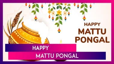 Happy Mattu Pongal 2025 Greetings, Wishes, Quotes and Messages To Celebrate the Festival of Pongal