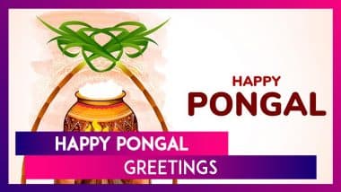 Happy Pongal 2025 Messages, Quotes, Greetings and Wishes To Celebrate the Harvest Festival