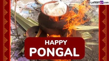 Latest Pongal 2025 Greetings, Wishes and Quotes: Thai Pongal HD Images and Wallpapers To Share Festive Messages and WhatsApp Status With Family and Friends