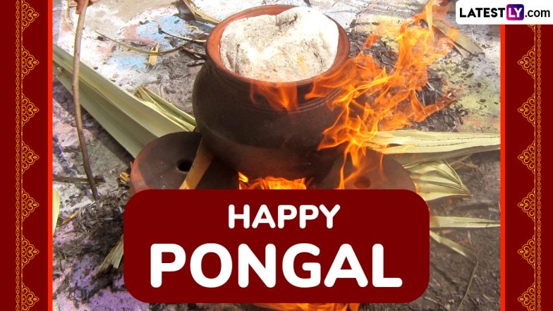 Latest Pongal 2025 Greetings, Wishes and Quotes: Thai Pongal HD Images and Wallpapers To Share Festive Messages and WhatsApp Status With Family and Friends