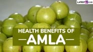 Amla Health Benefits: 5 Reasons To Include Indian Gooseberry in Your Diet