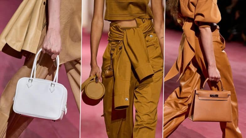 Who Gets To Buy Birkin Bag? The Hermès ‘Exclusivity’ Makes People Go Berserk After Video of Woman ‘Almost’ Losing It Before Getting Approved Goes Viral