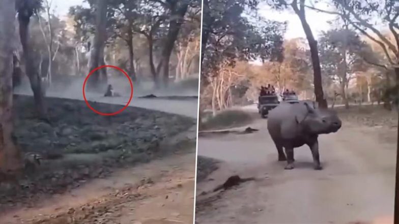 Assam: Woman and Daughter Fall off Safari Gypsy in Front of Rhinos at Kaziranga National Park, Escape Unscathed; Video Surfaces