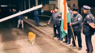 Stray Dog Becomes First To Cross Border After Romania Joins Schengen, Viral Video Shows Officials Cheering