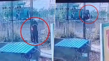 Hapur: Refused Fuel For Not Wearing Helmet, Lineman Cuts Petrol Pump’s Power Supply in UP; Complaint Registered After Video Goes Viral