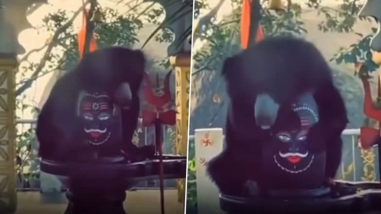 Wild Bear Hugs Shivling at Chandi Mata Mandir in Chhattisgarh’s Baghbahara, Video Goes Viral