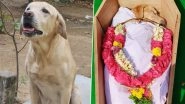 Sniffer Dog Astro Dies: Madurai Prison DSP-Rank Dog Passes Away, Honoured With 21-Gun Salute (See Pics)