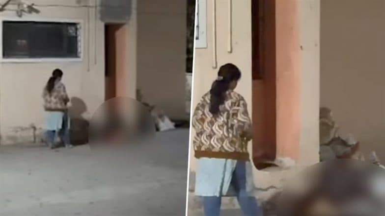 Chhatrapati Sambhajinagar: Pitbull Ferociously Attacks Pregnant Stray Dog in Chetana Nagar, Owners Booked After Video Goes Viral