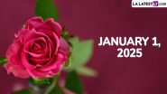 January 1, 2025 Special Days: Which Day Is Today? Know Holidays, Festivals, Events, Birthdays, Birth and Death Anniversaries Falling on Today's Calendar Date