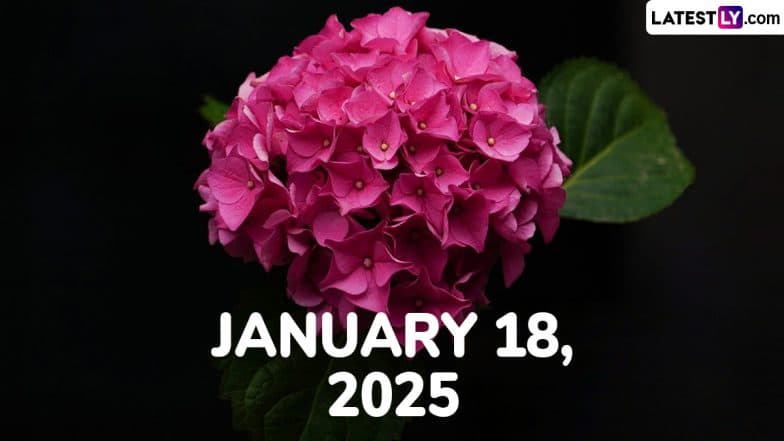 January 18, 2025 Special Days: Which Day Is Today? Know Holidays, Festivals, Events, Birthdays, Birth and Death Anniversaries Falling on Today’s Calendar Date