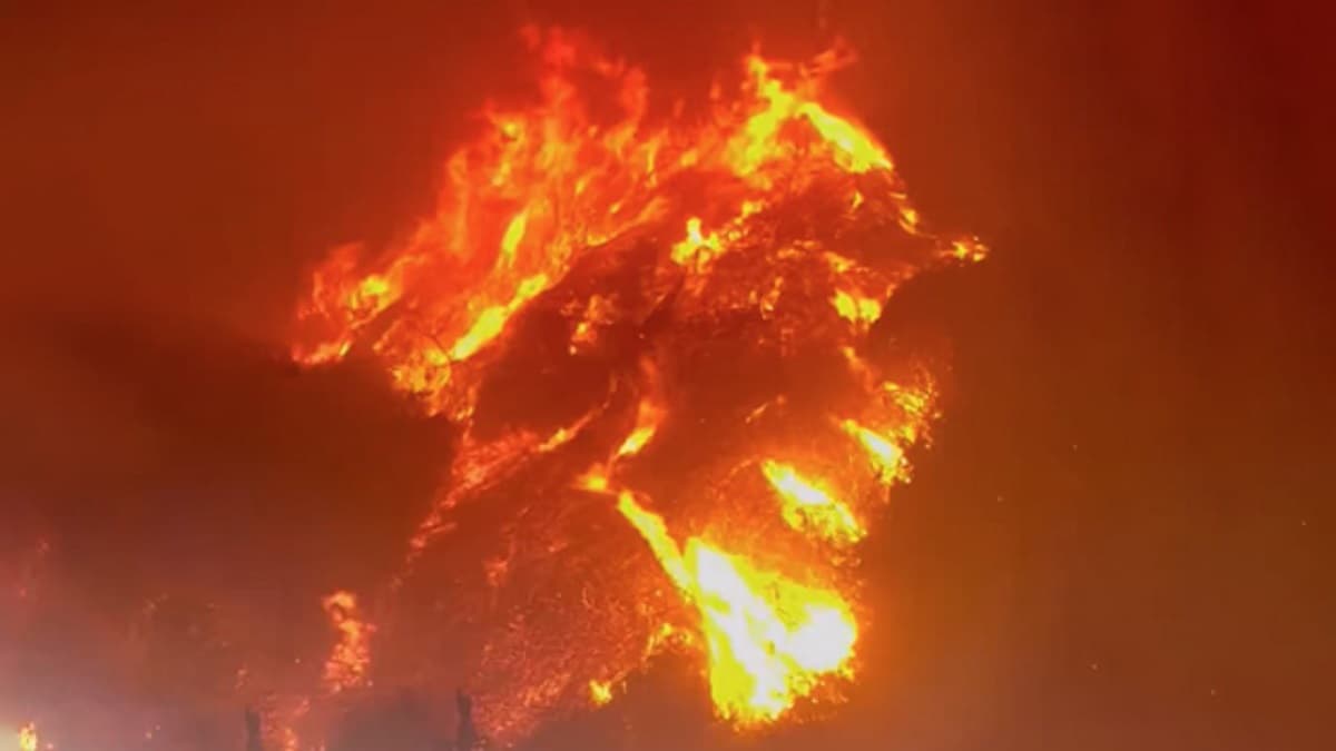 California Wildfires: 24 Dead As Fire Crews Try To Corral Los Angeles Blazes